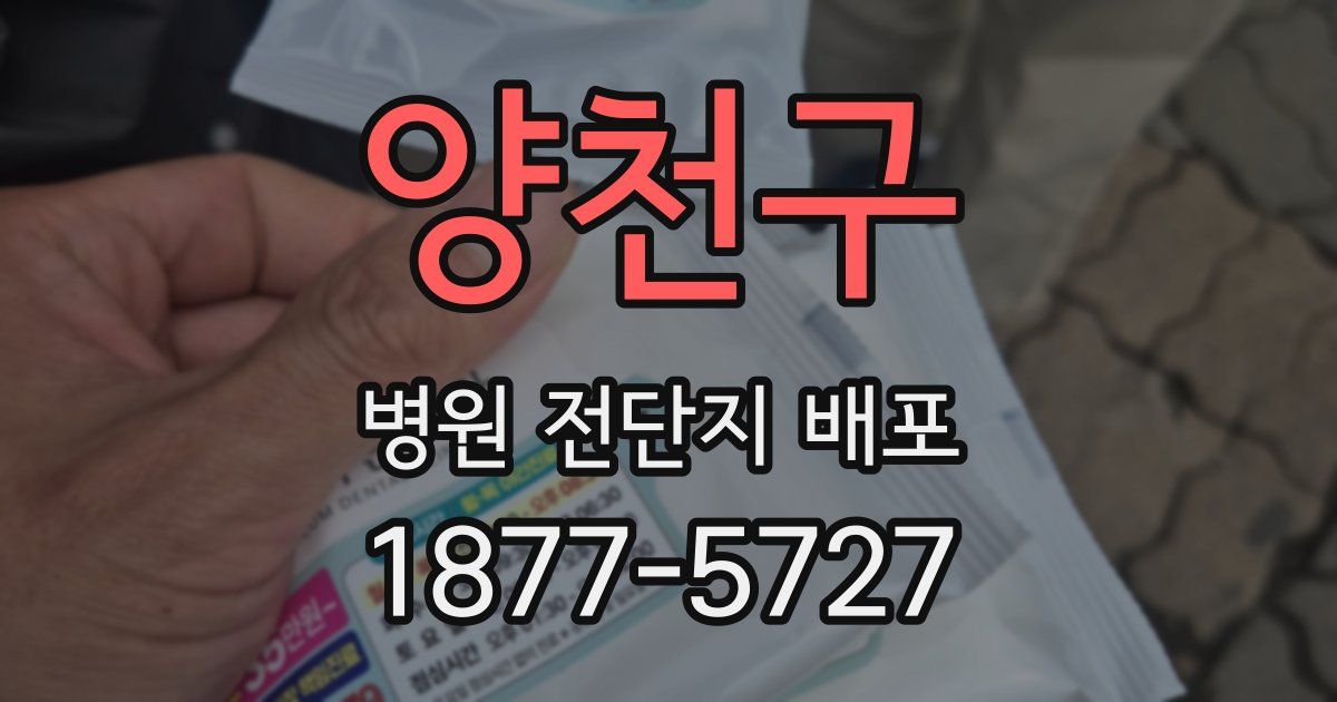양천구 병원 전단지 배포