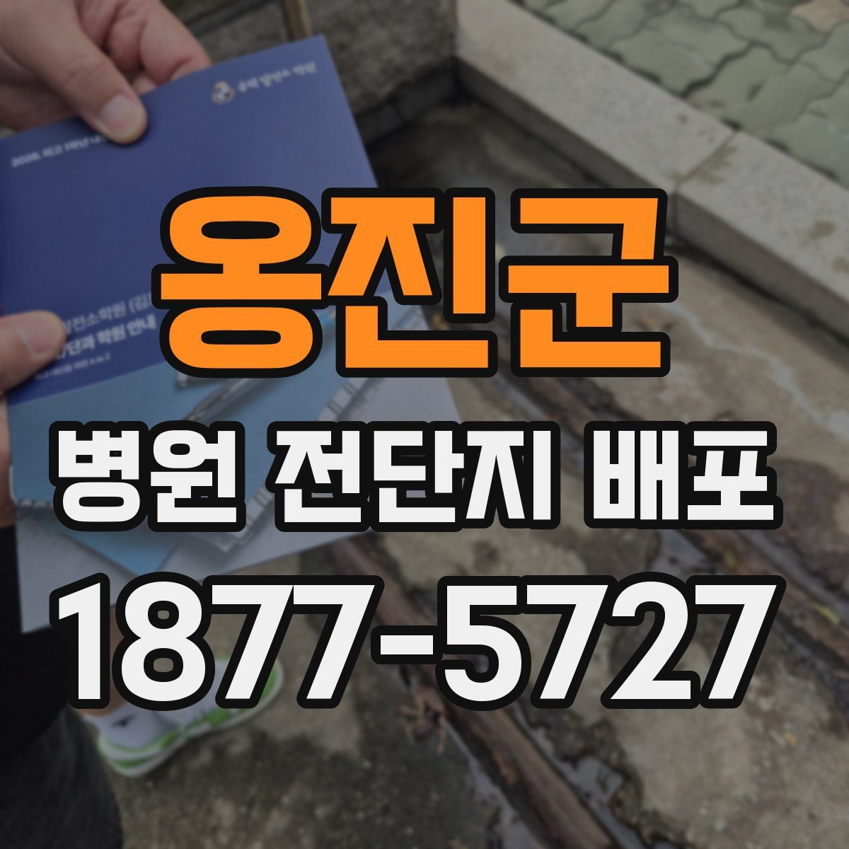 옹진군 병원 전단지 배포