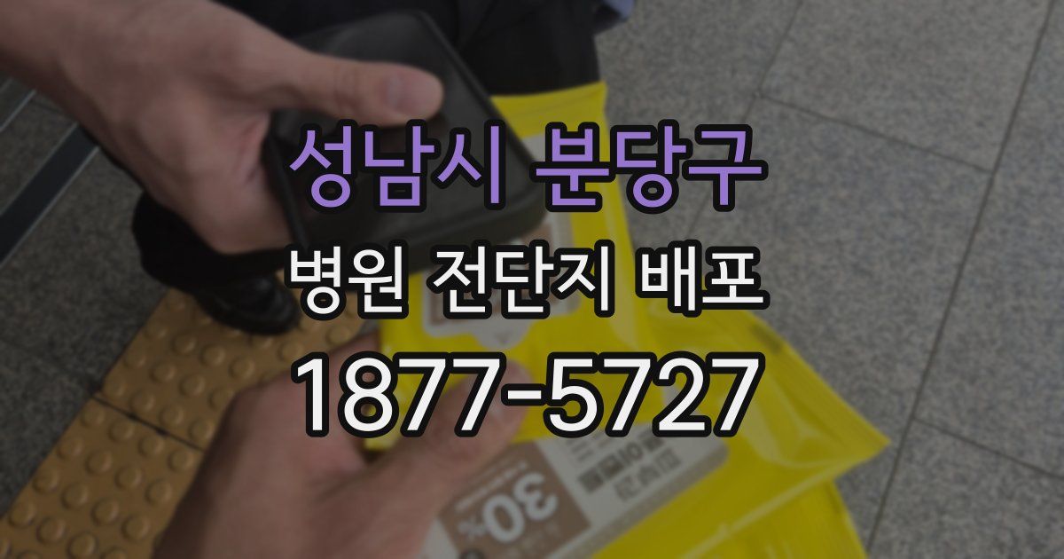 성남시 분당구 병원 전단지 배포