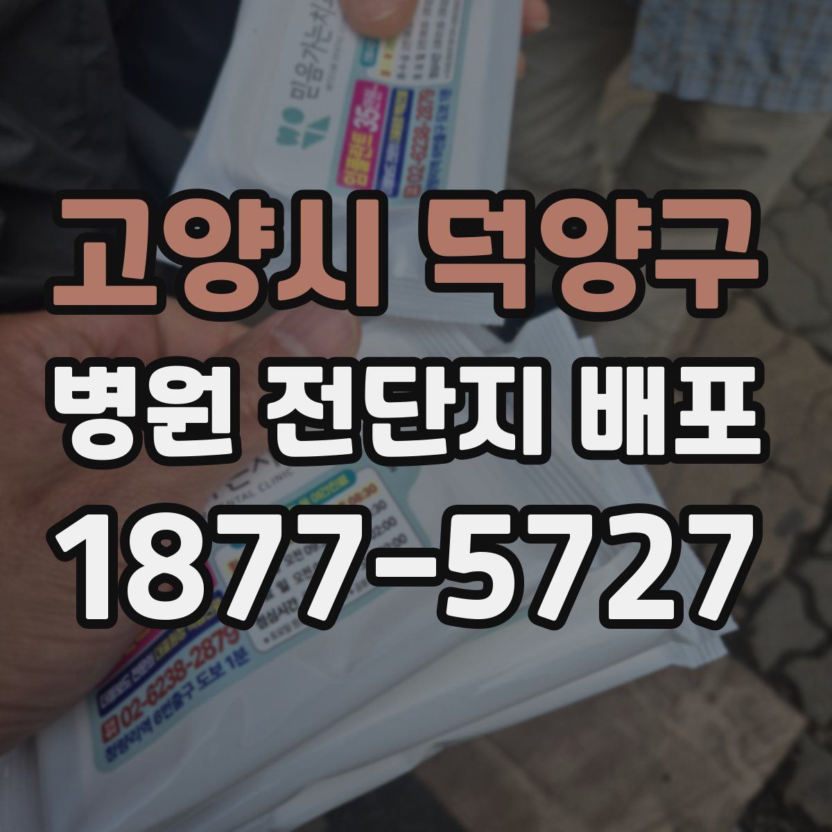 고양시 덕양구 병원 전단지 배포
