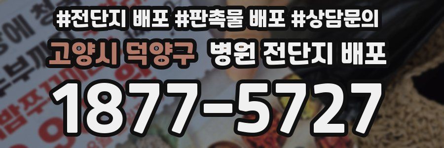 고양시 덕양구 병원 전단지 배포