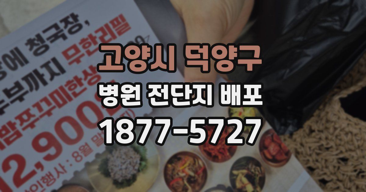 고양시 덕양구 병원 전단지 배포