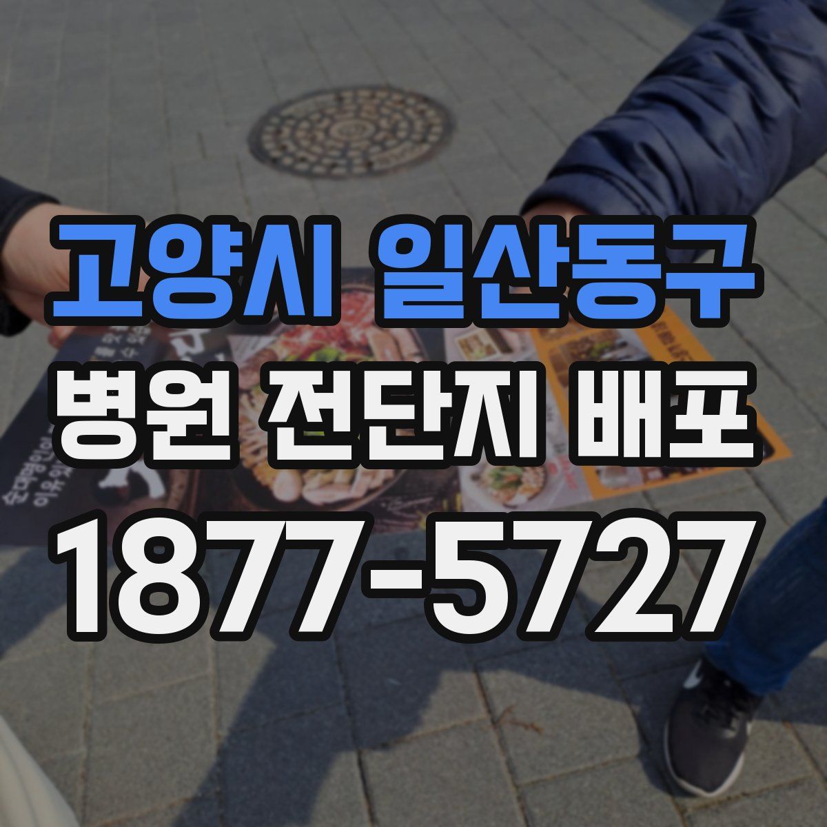 고양시 일산동구 병원 전단지 배포