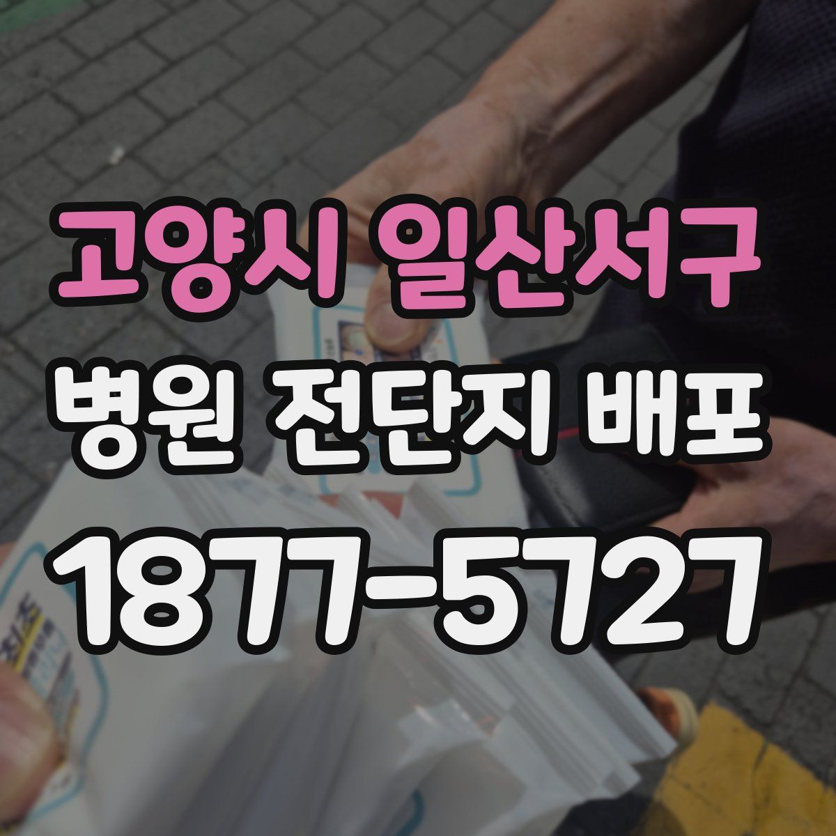 고양시 일산서구 병원 전단지 배포