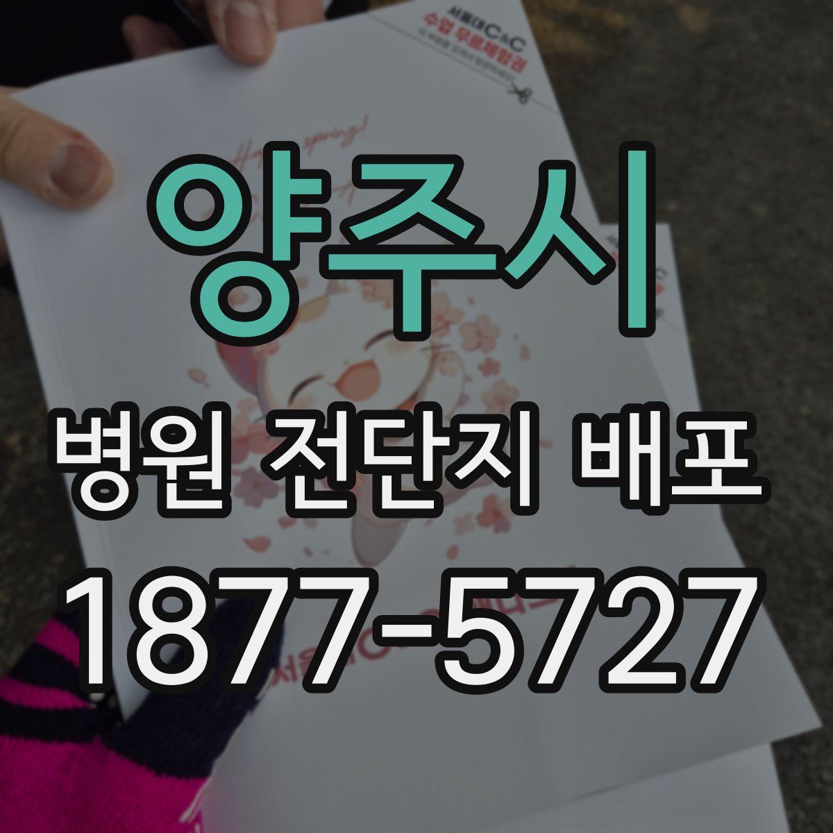 양주시 병원 전단지 배포