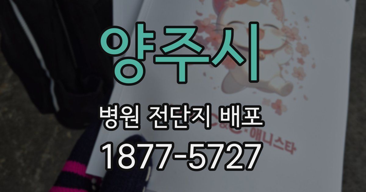 양주시 병원 전단지 배포
