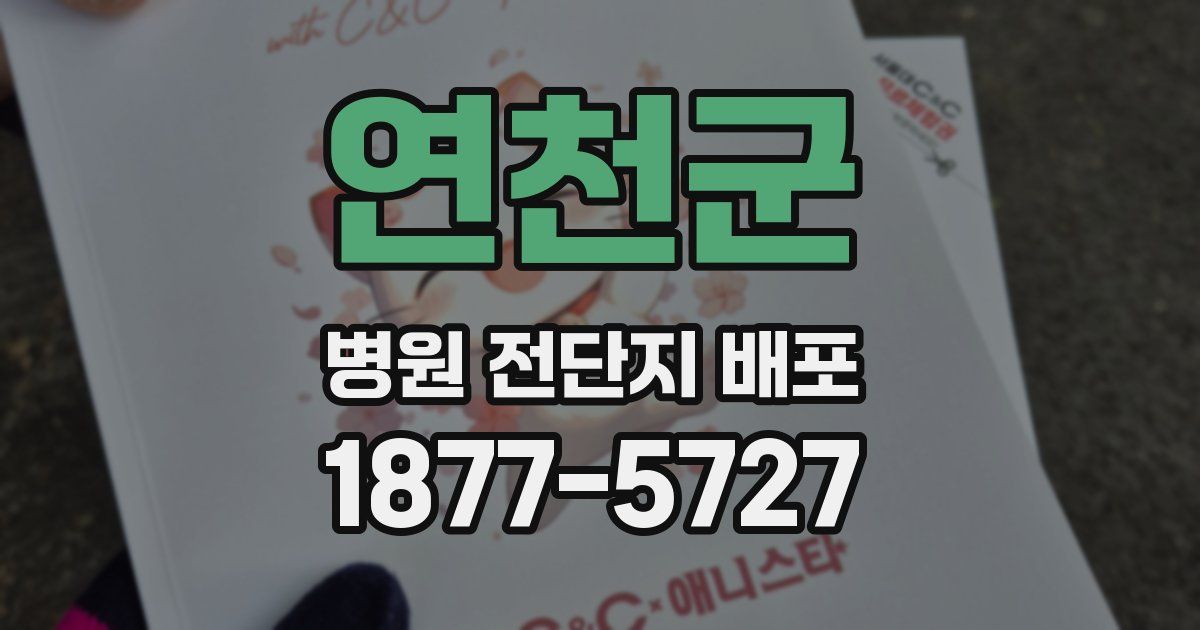 연천군 병원 전단지 배포