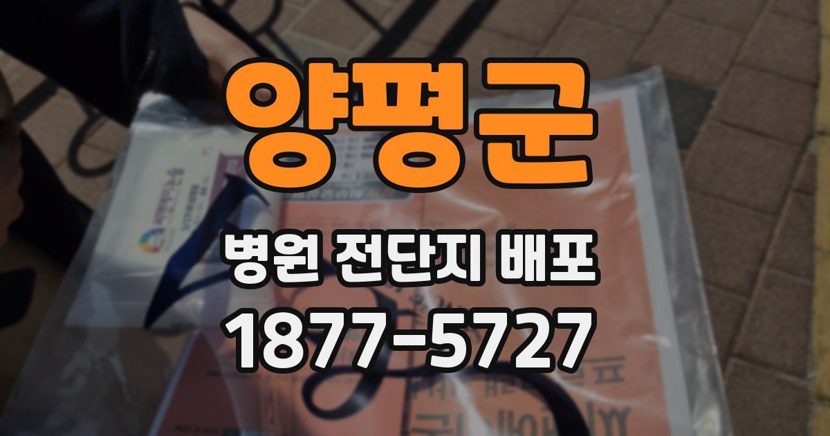 양평군 병원 전단지 배포