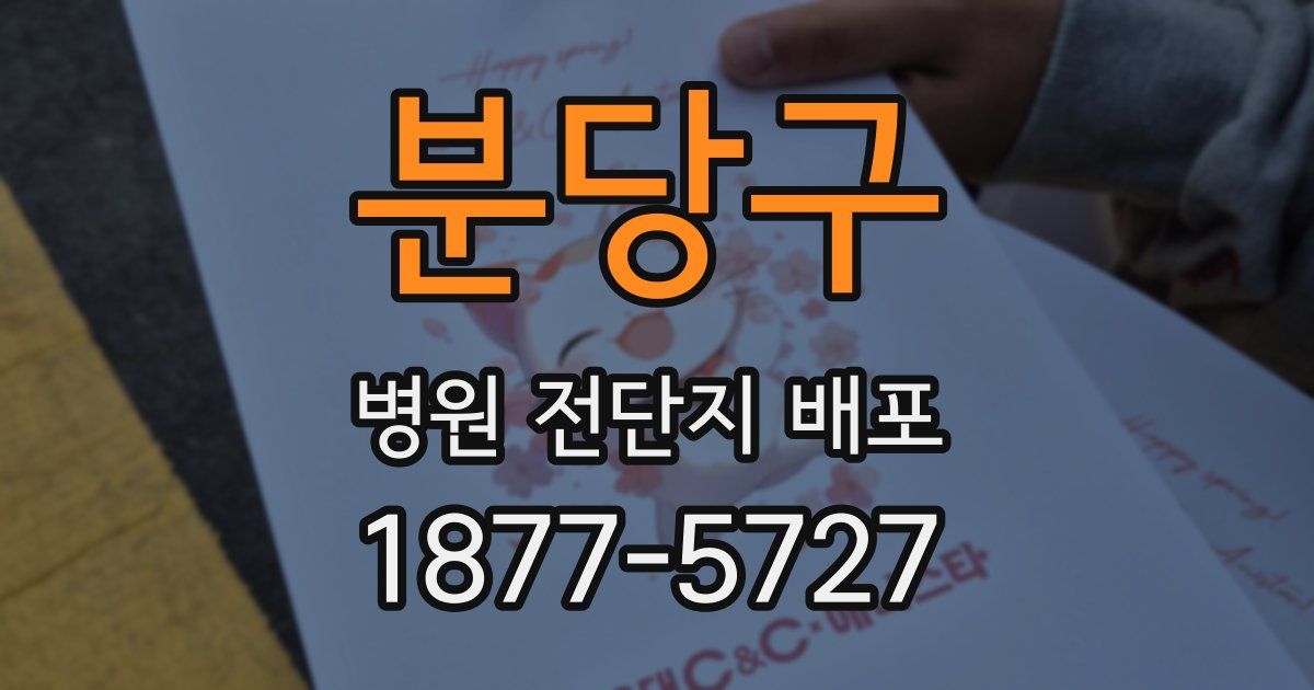 분당구 병원 전단지 배포