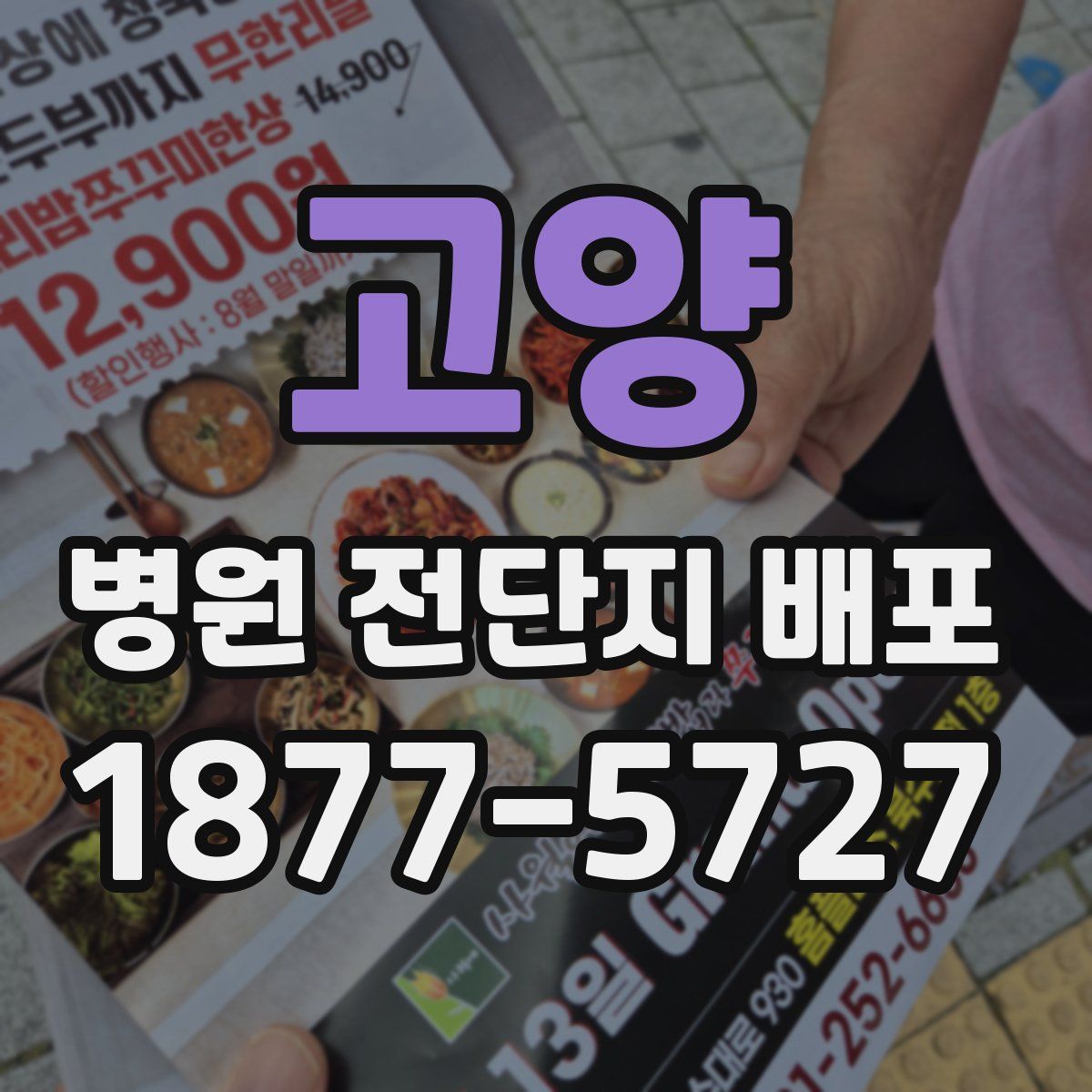 고양 병원 전단지 배포