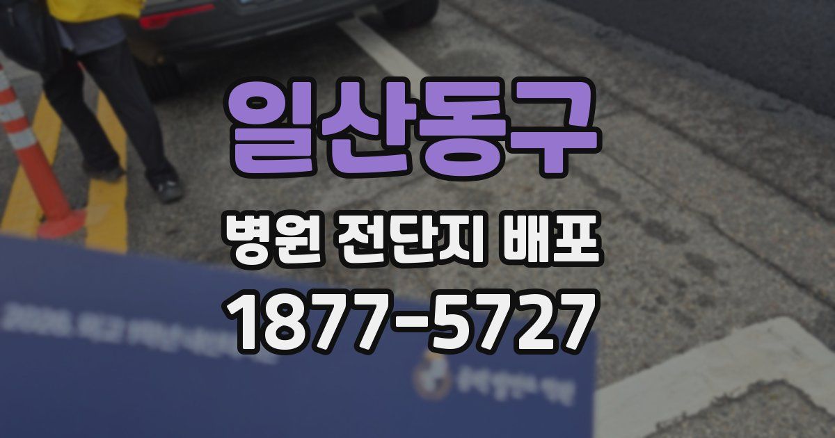 일산동구 병원 전단지 배포