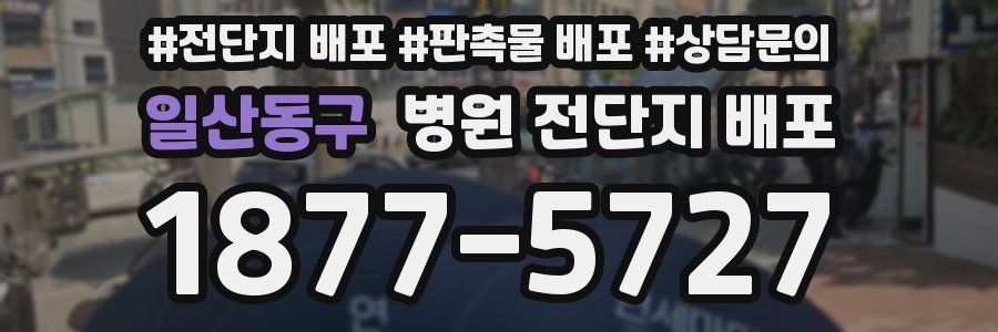 일산동구 병원 전단지 배포