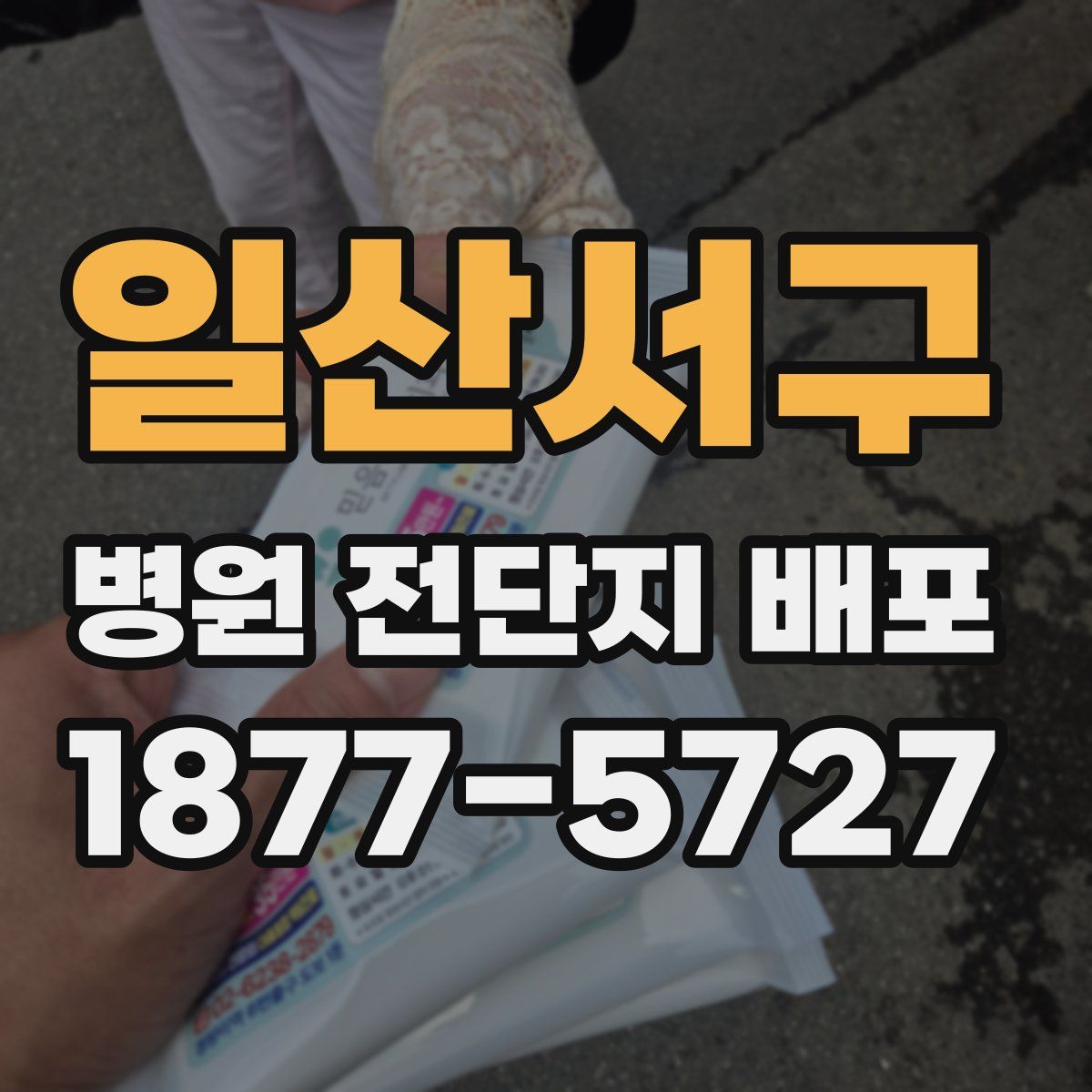 일산서구 병원 전단지 배포
