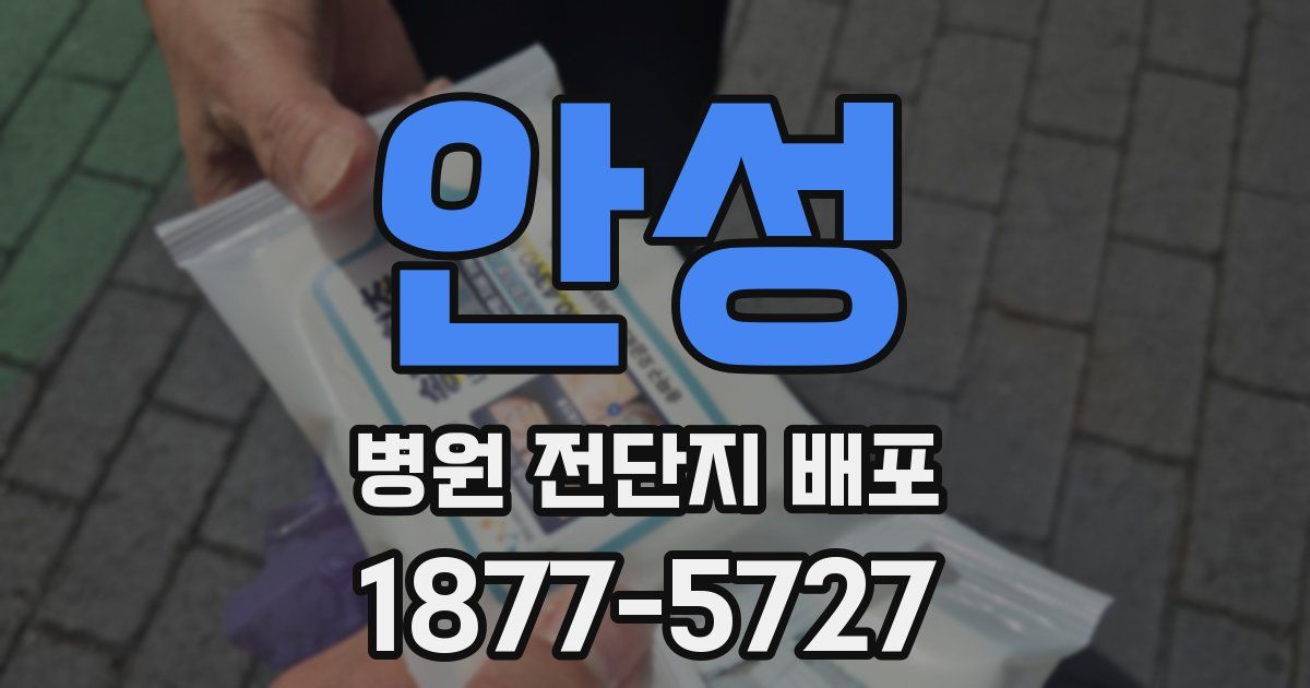 안성 병원 전단지 배포