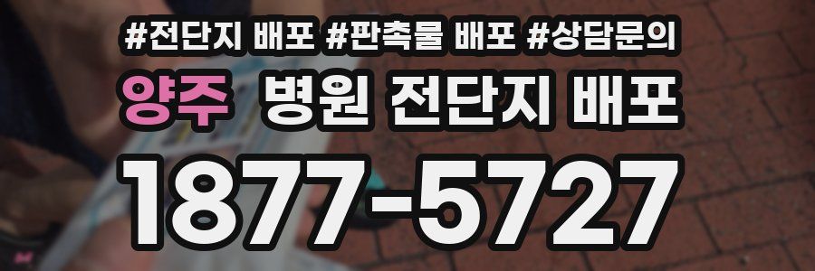 양주 병원 전단지 배포