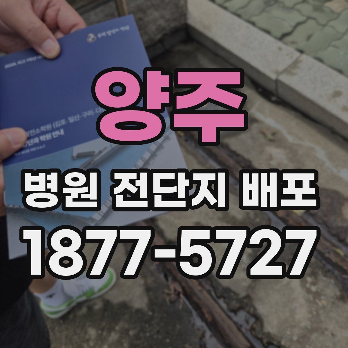 양주 병원 전단지 배포