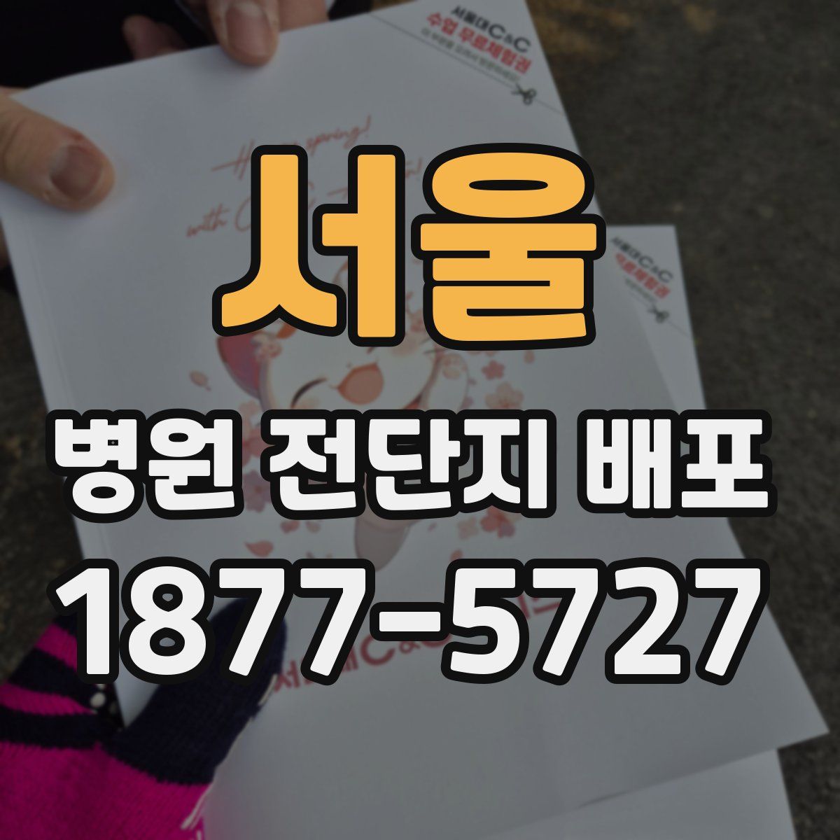 서울 병원 전단지 배포