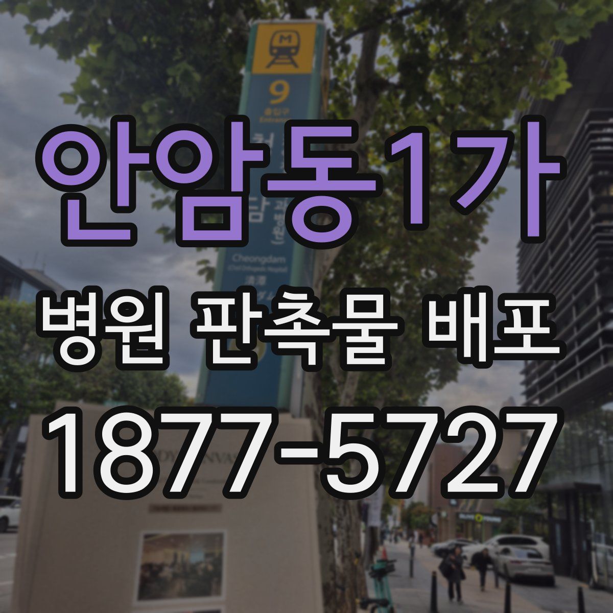 안암동1가 병원 판촉물 배포