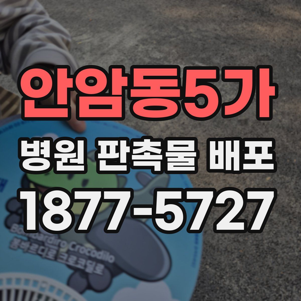 안암동5가 병원 판촉물 배포