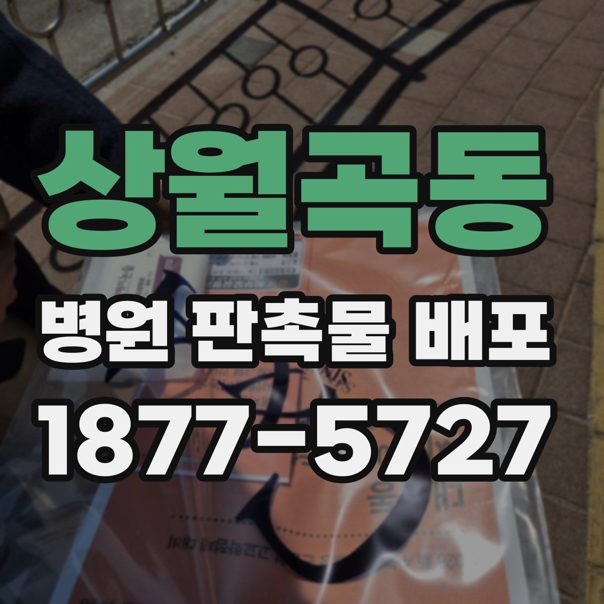 상월곡동 병원 판촉물 배포