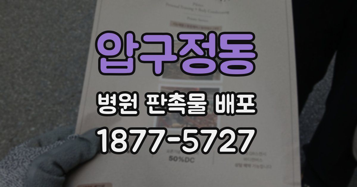 압구정동 병원 판촉물 배포