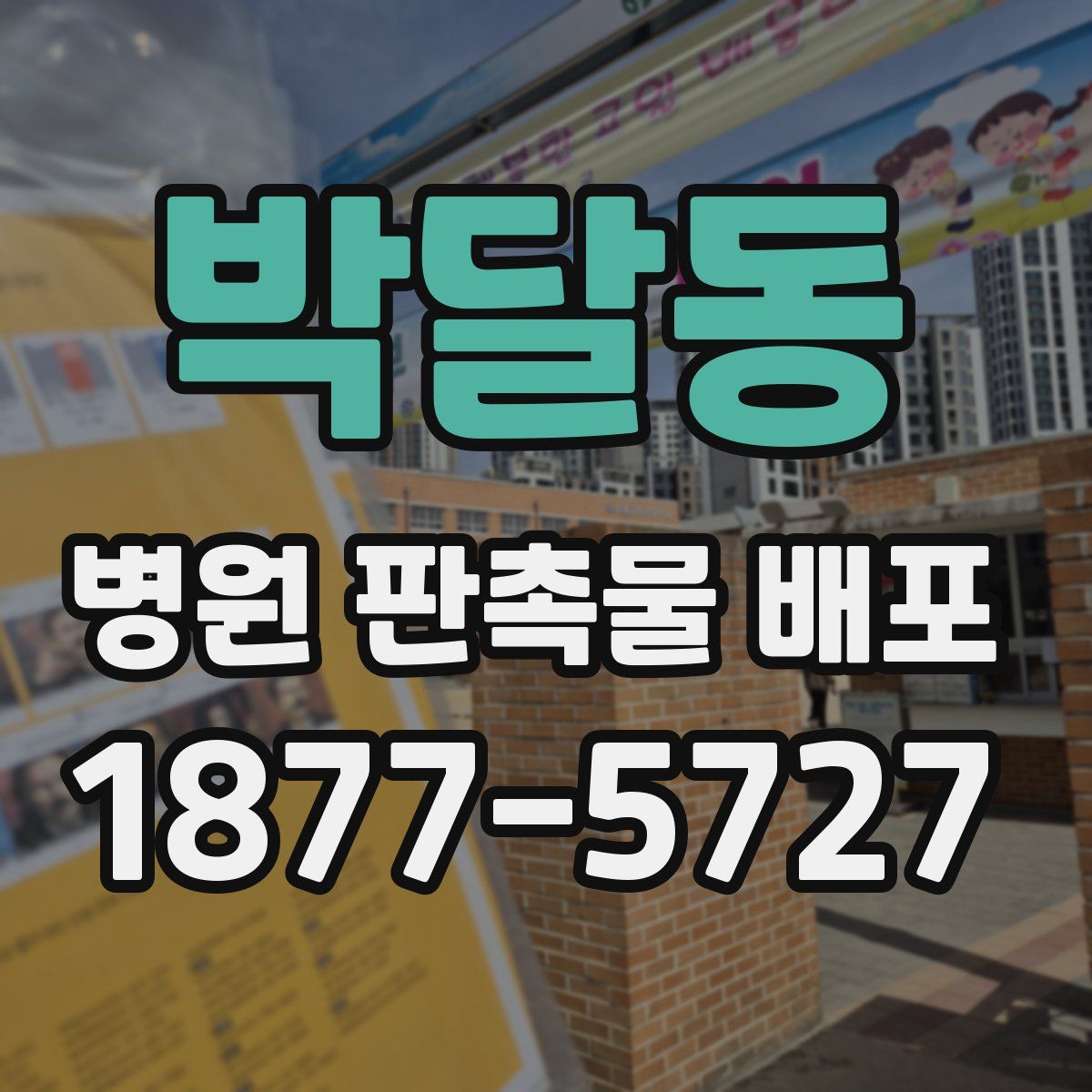 박달동 병원 판촉물 배포
