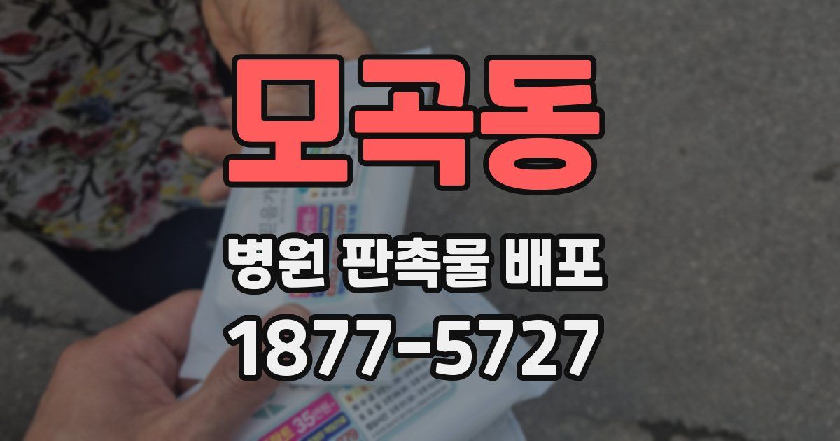 모곡동 병원 판촉물 배포