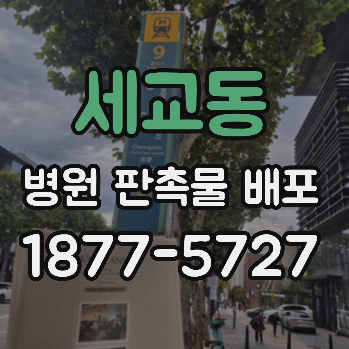 세교동 병원 판촉물 배포