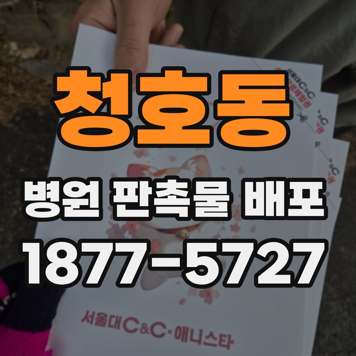 청호동 병원 판촉물 배포