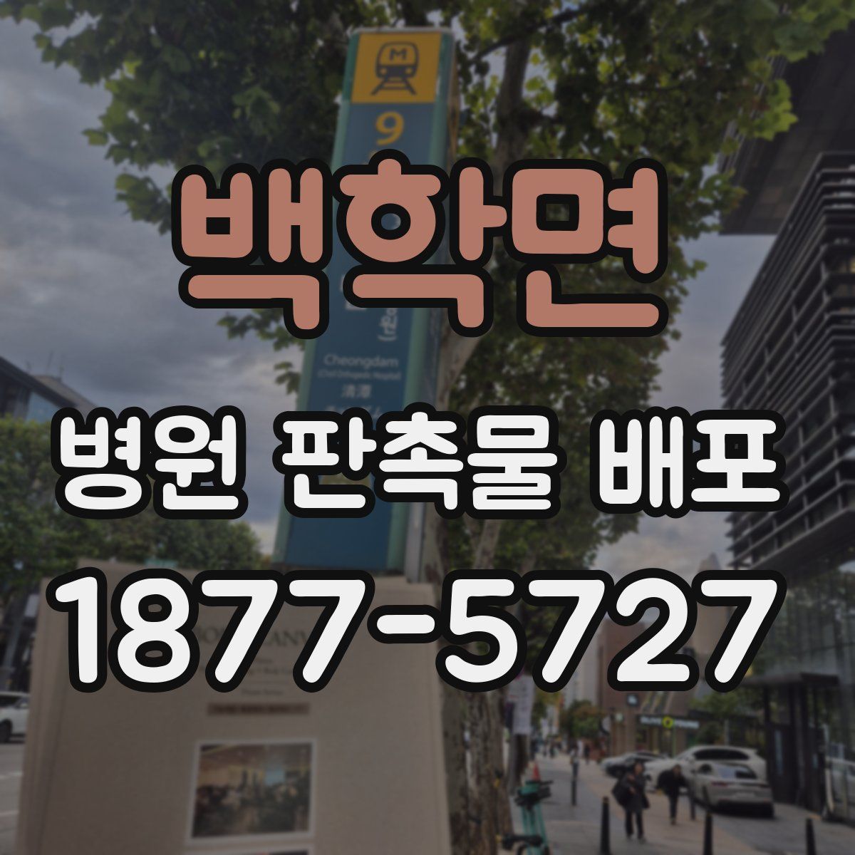 백학면 병원 판촉물 배포