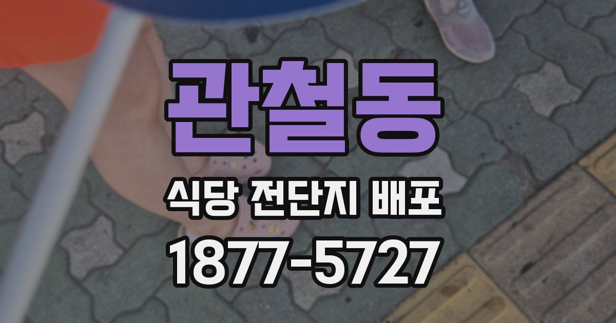 관철동 식당 전단지 배포
