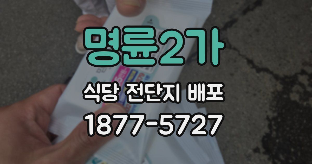 명륜2가 식당 전단지 배포