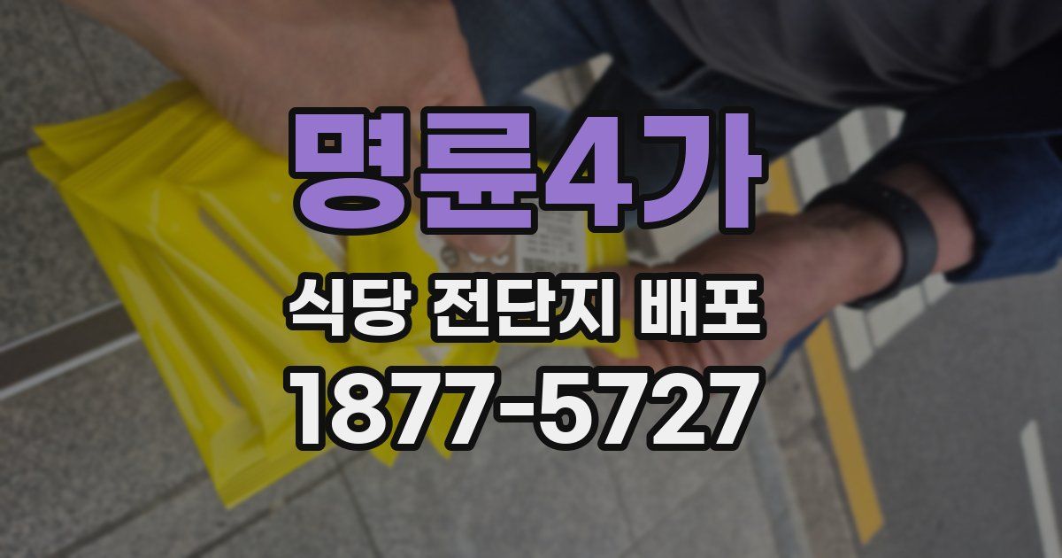 명륜4가 식당 전단지 배포