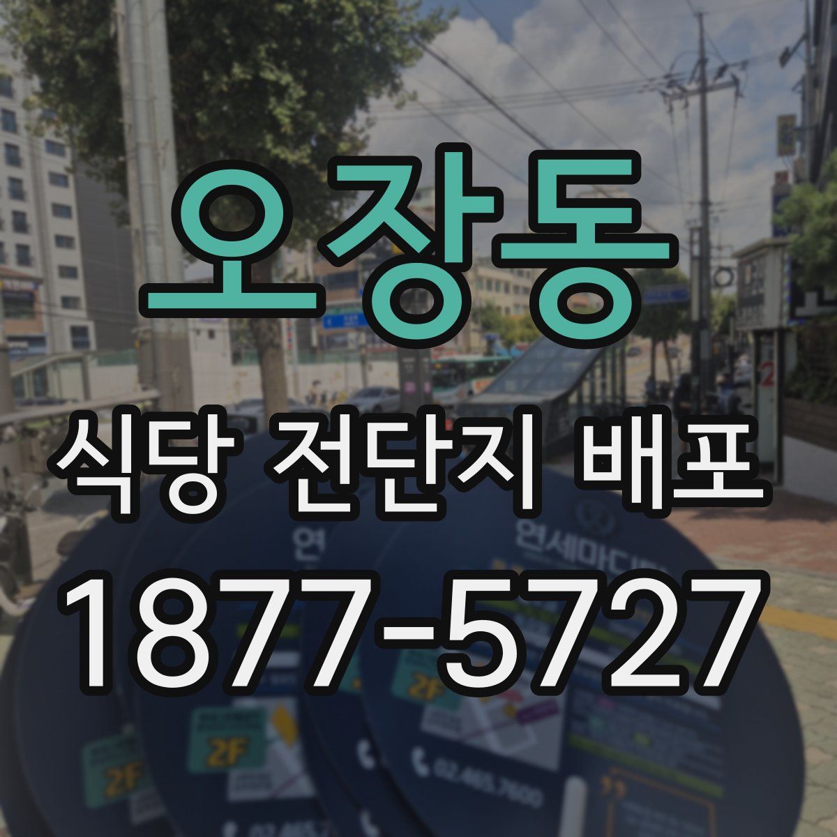 오장동 식당 전단지 배포