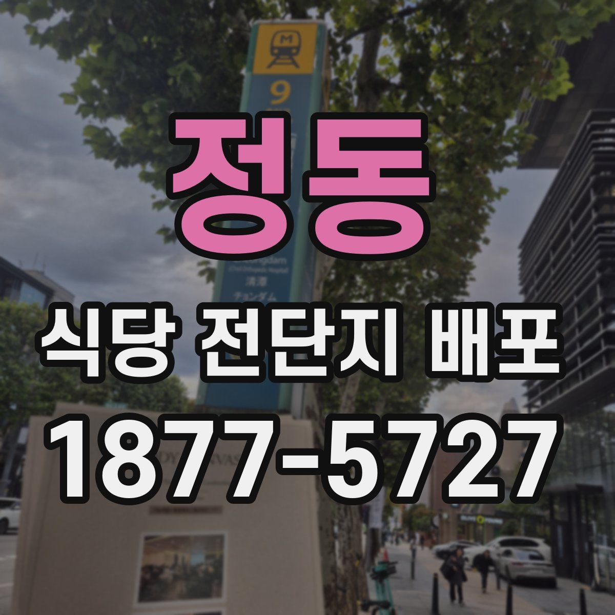 정동 식당 전단지 배포