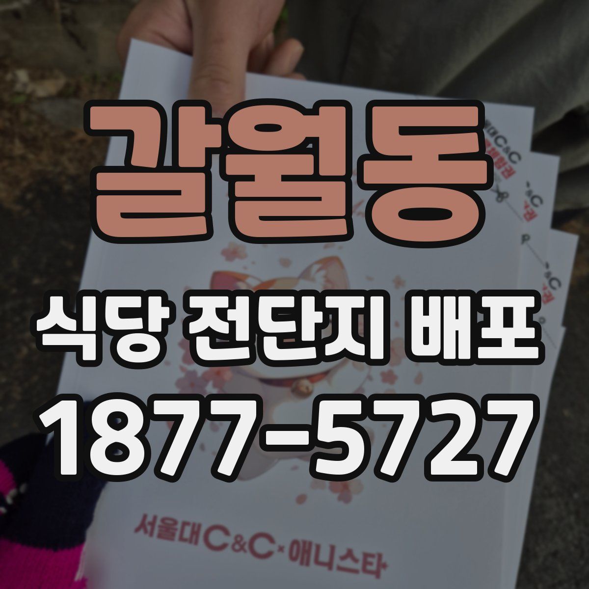갈월동 식당 전단지 배포