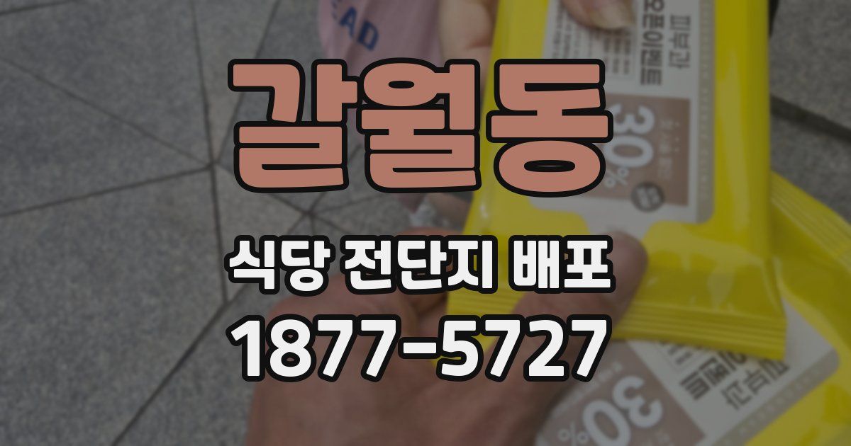 갈월동 식당 전단지 배포