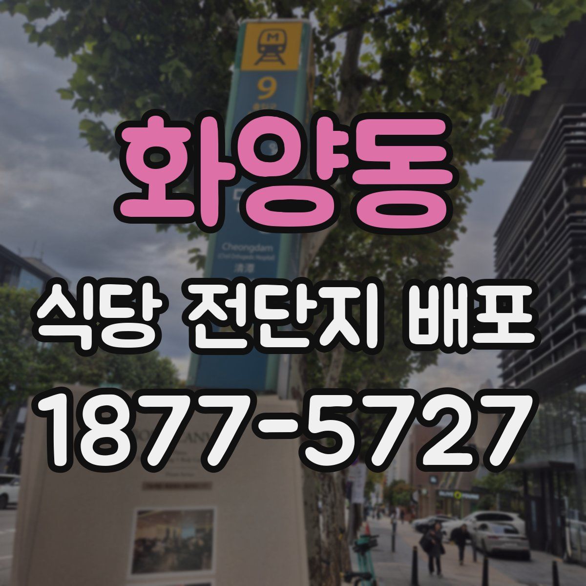 화양동 식당 전단지 배포