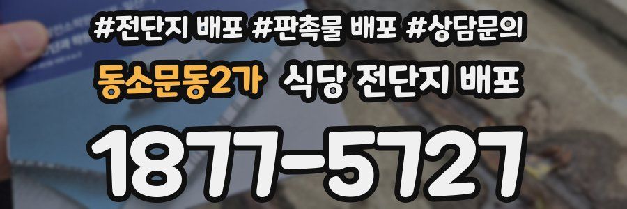 동소문동2가 식당 전단지 배포