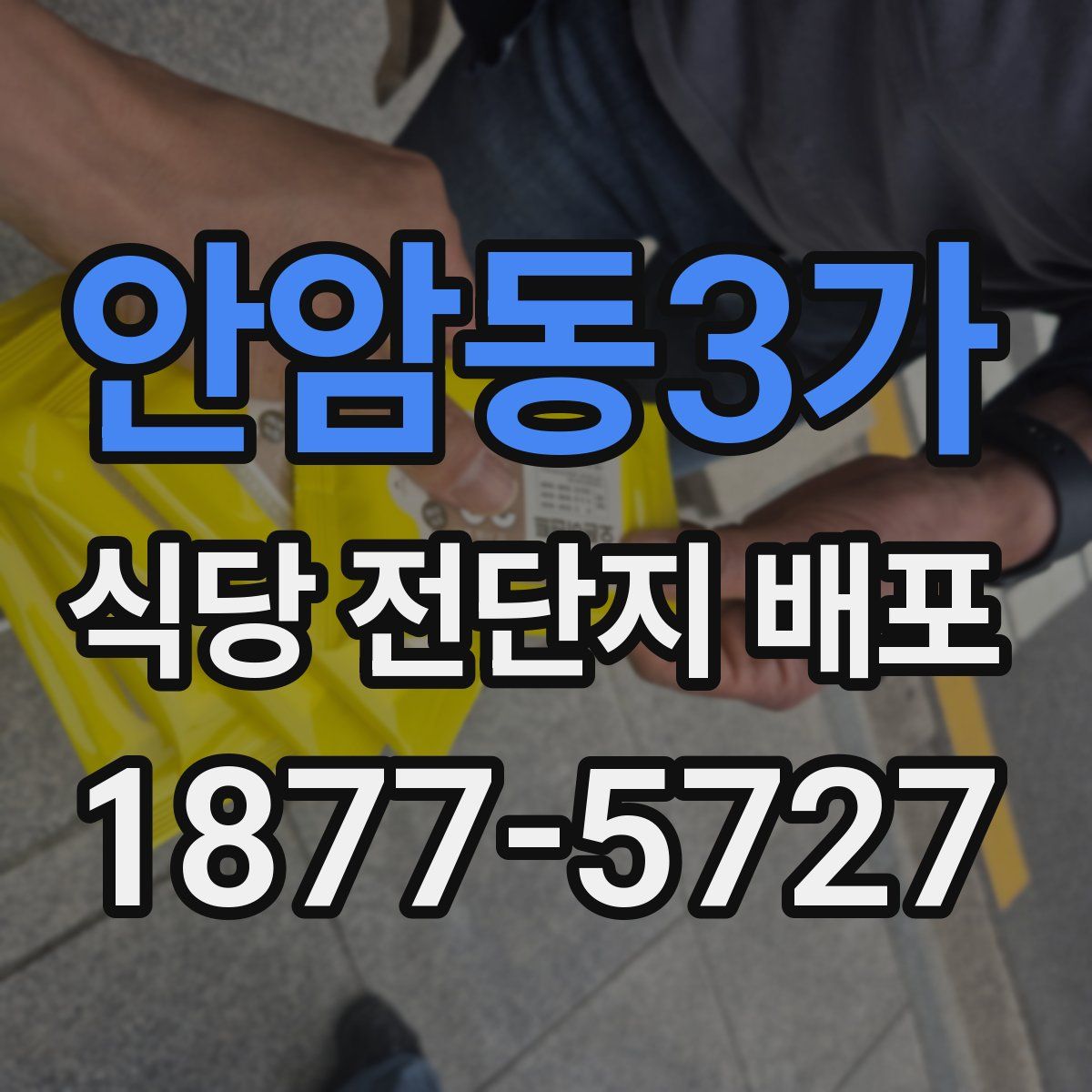 안암동3가 식당 전단지 배포