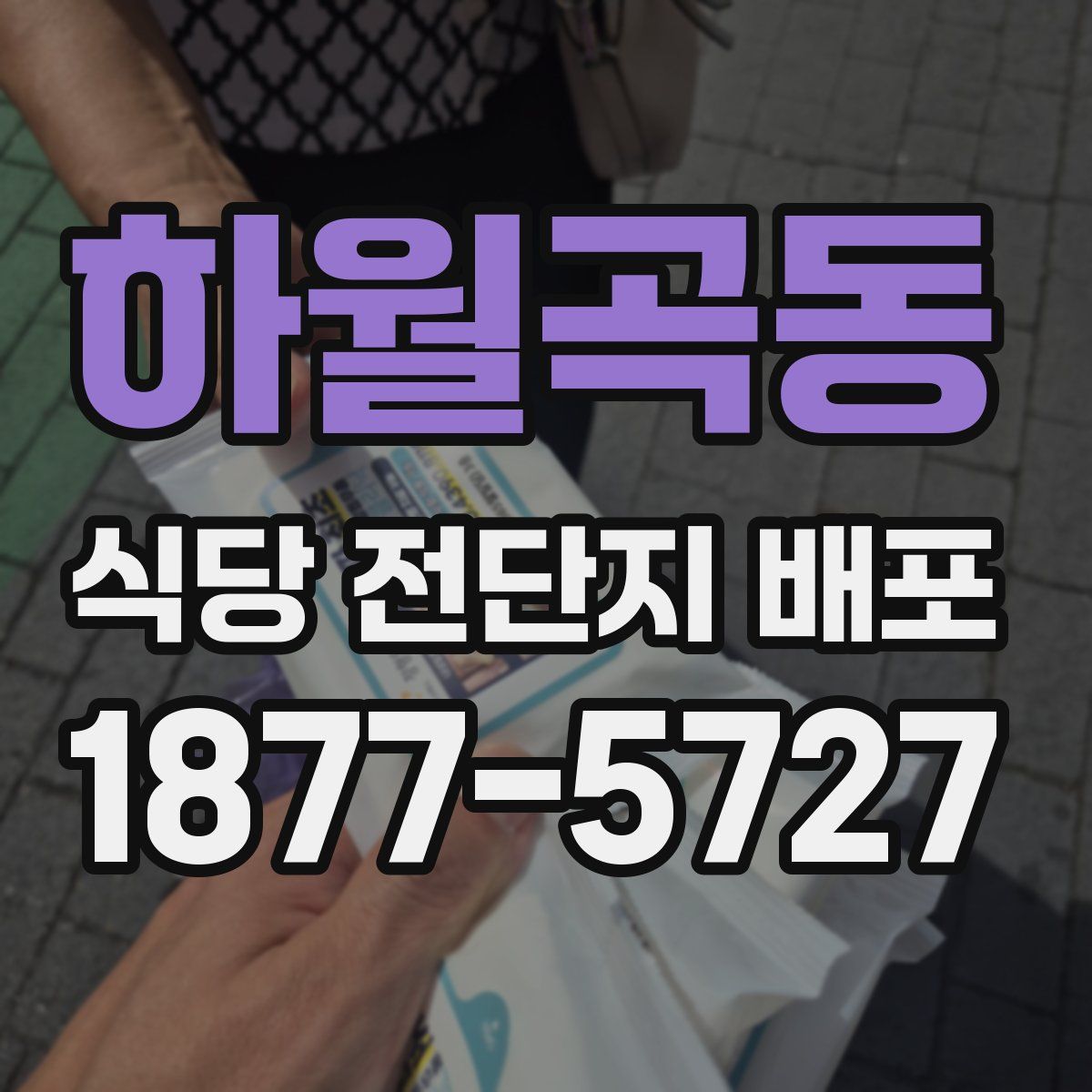 하월곡동 식당 전단지 배포