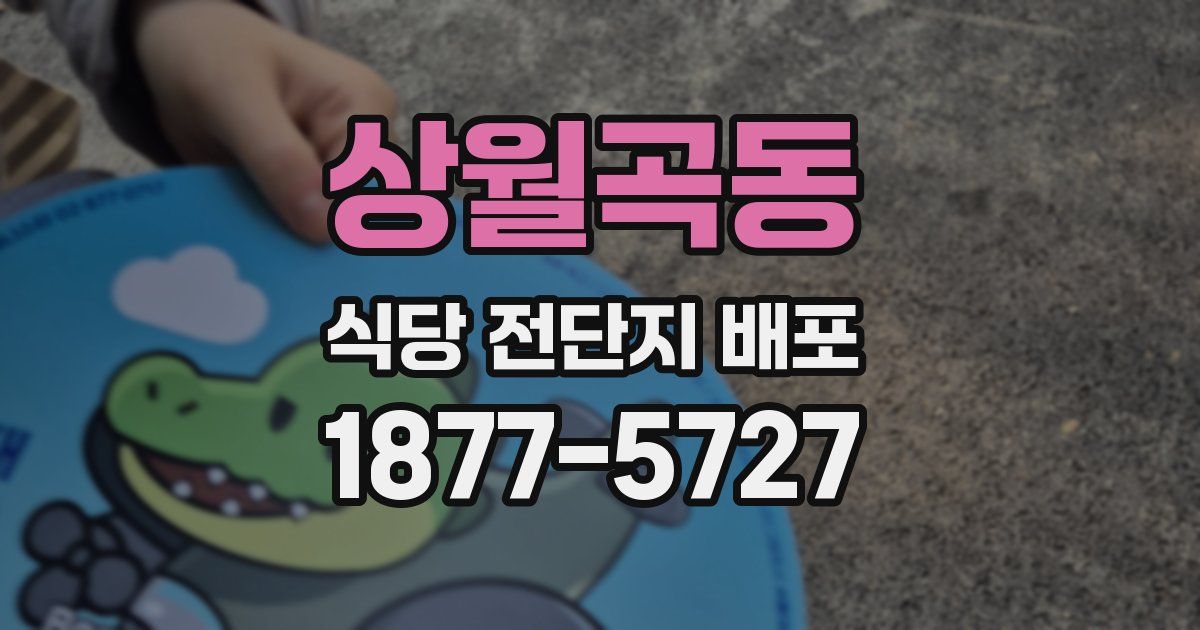 상월곡동 식당 전단지 배포