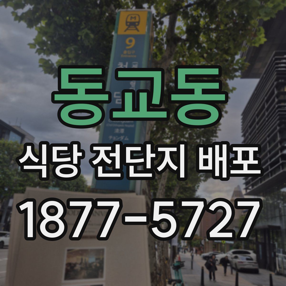 동교동 식당 전단지 배포