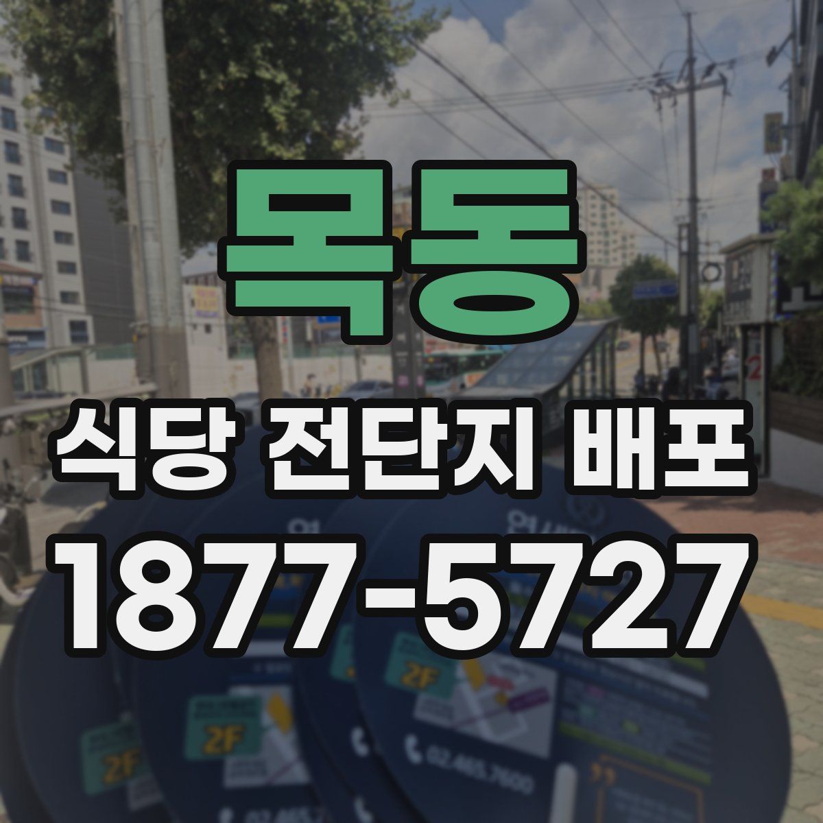 목동 식당 전단지 배포