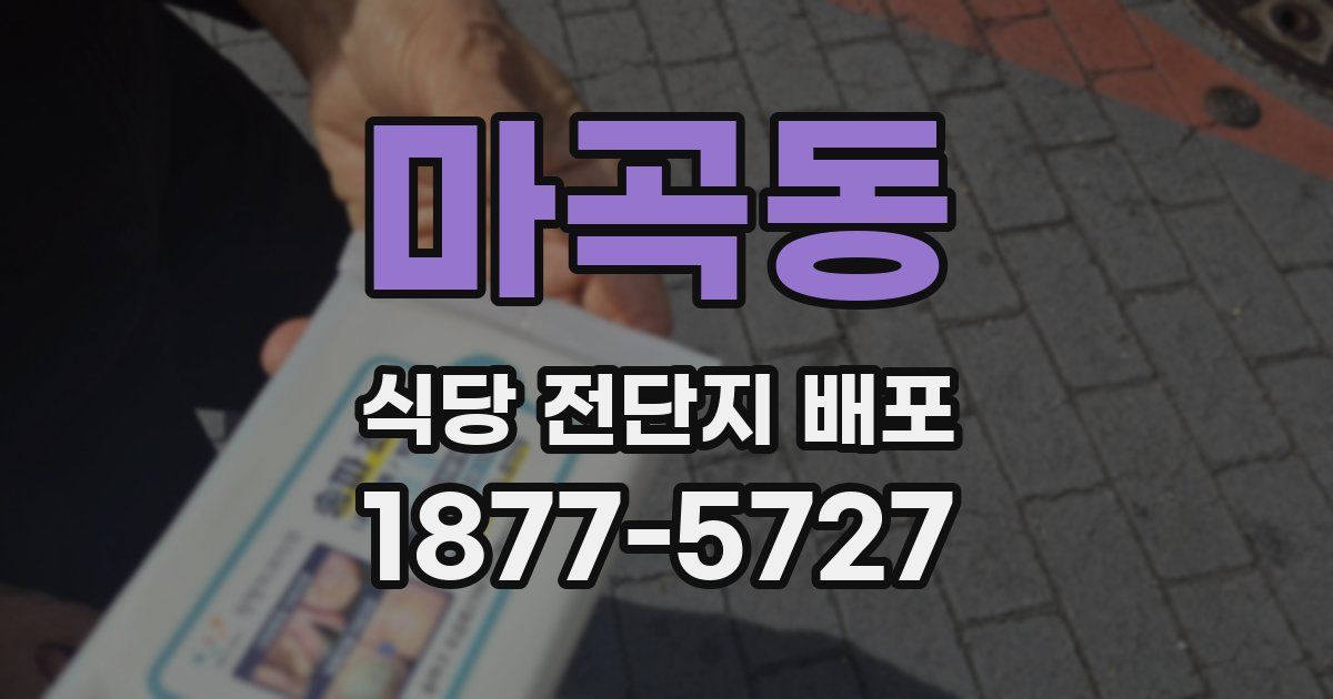 마곡동 식당 전단지 배포