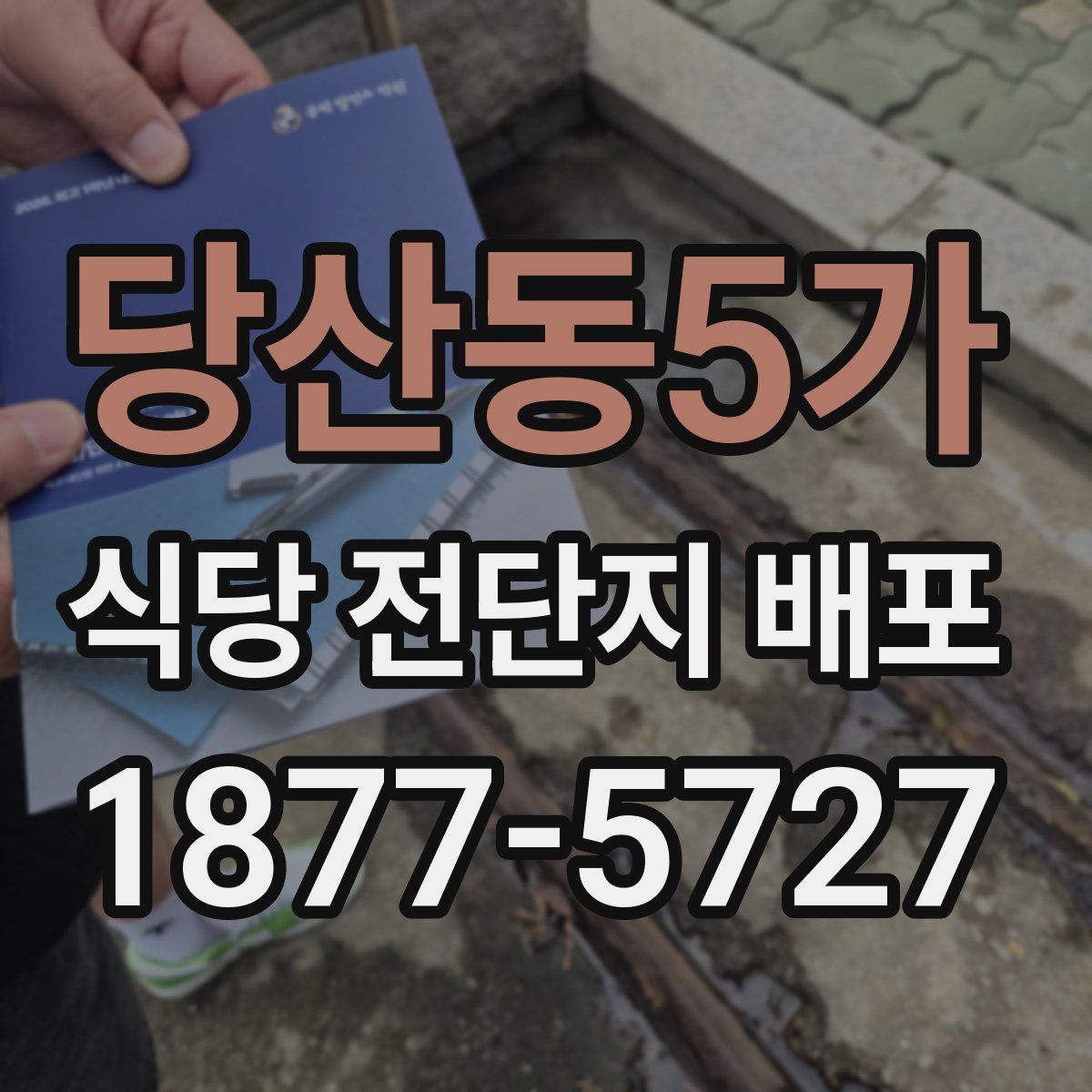 당산동5가 식당 전단지 배포