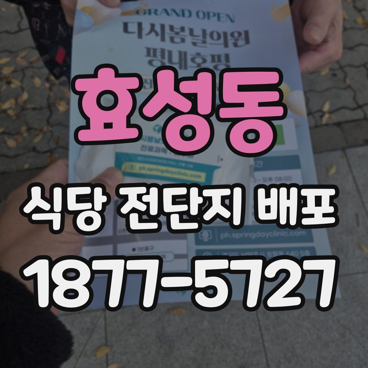 효성동 식당 전단지 배포