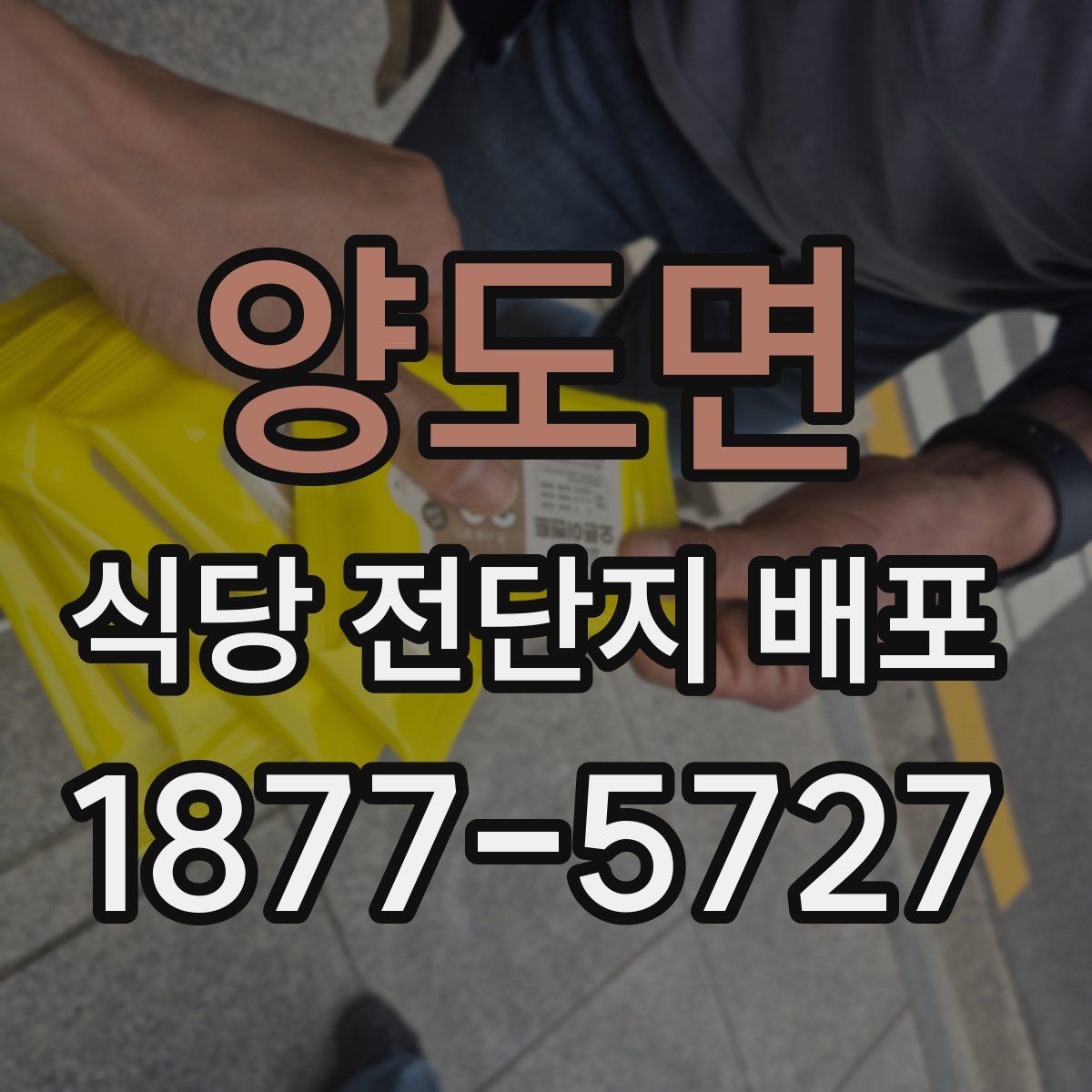 양도면 식당 전단지 배포