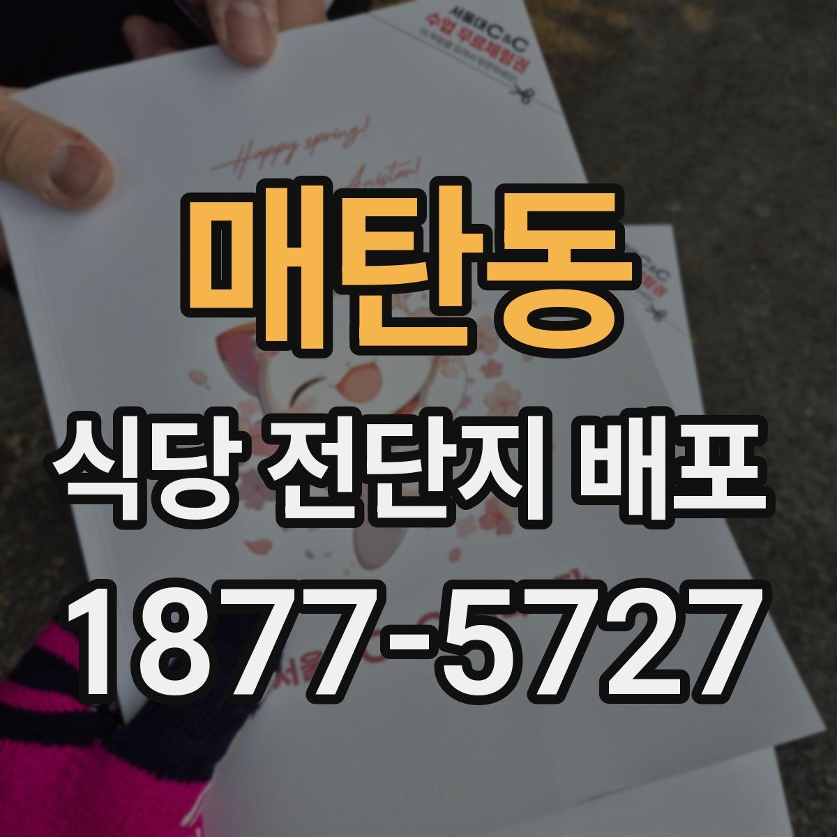 매탄동 식당 전단지 배포