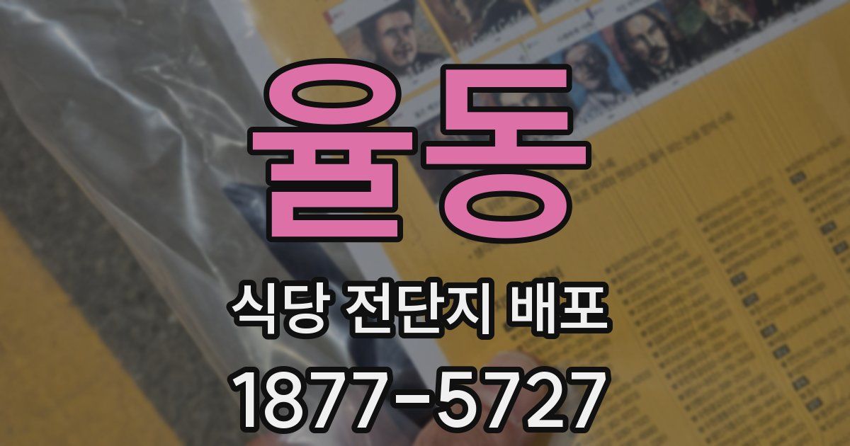 율동 식당 전단지 배포